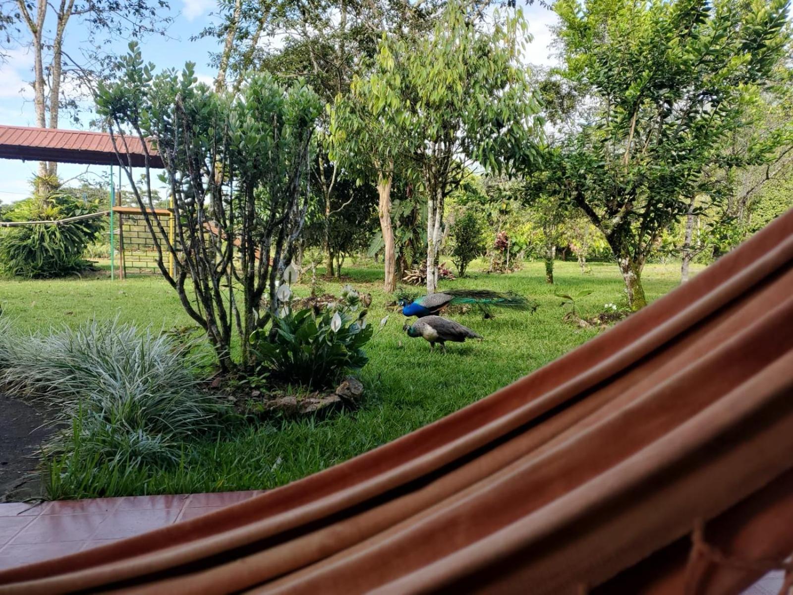 La Quinta De Andres Hotel San Isidro  Ngoại thất bức ảnh