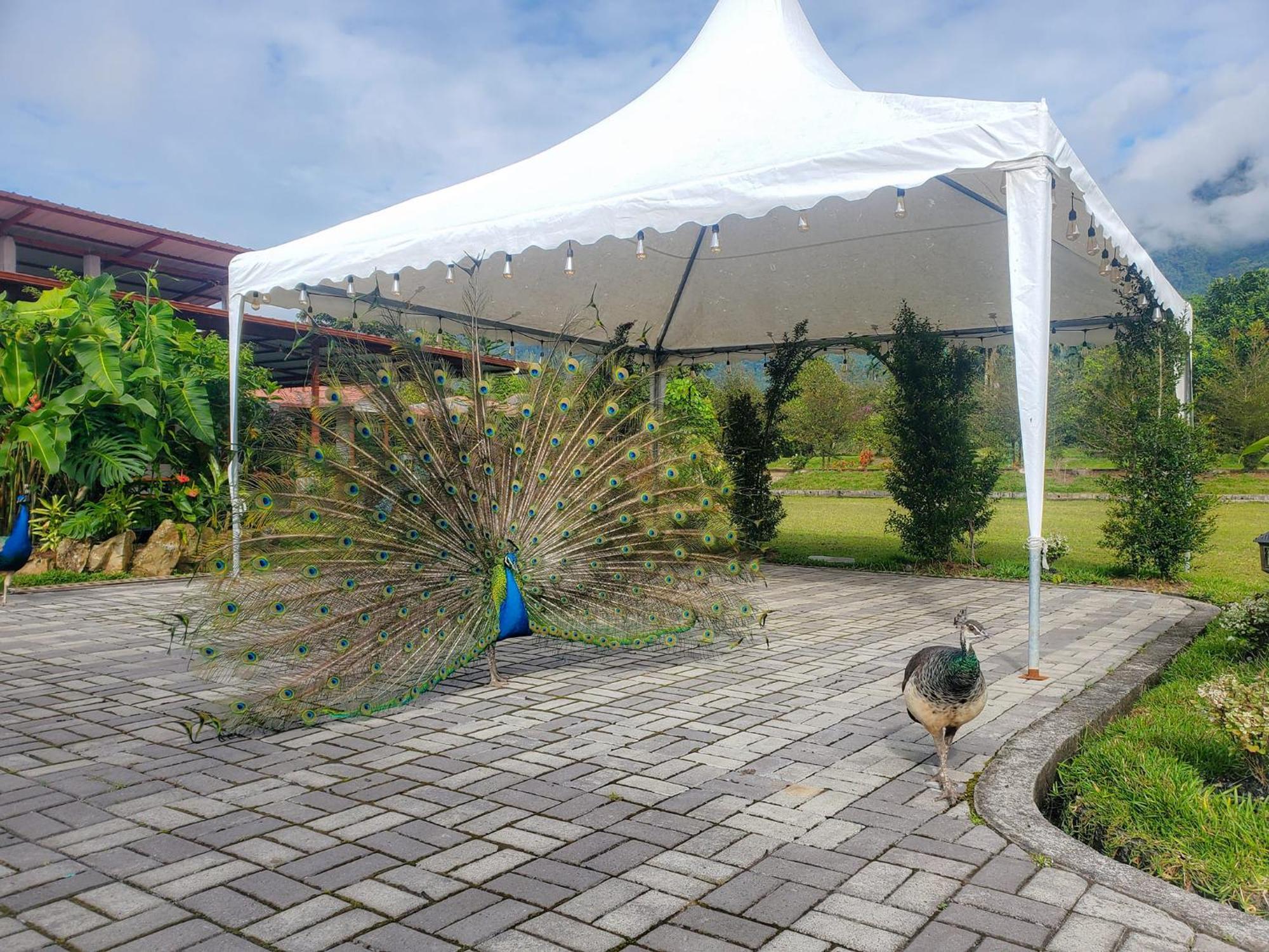 La Quinta De Andres Hotel San Isidro  Ngoại thất bức ảnh