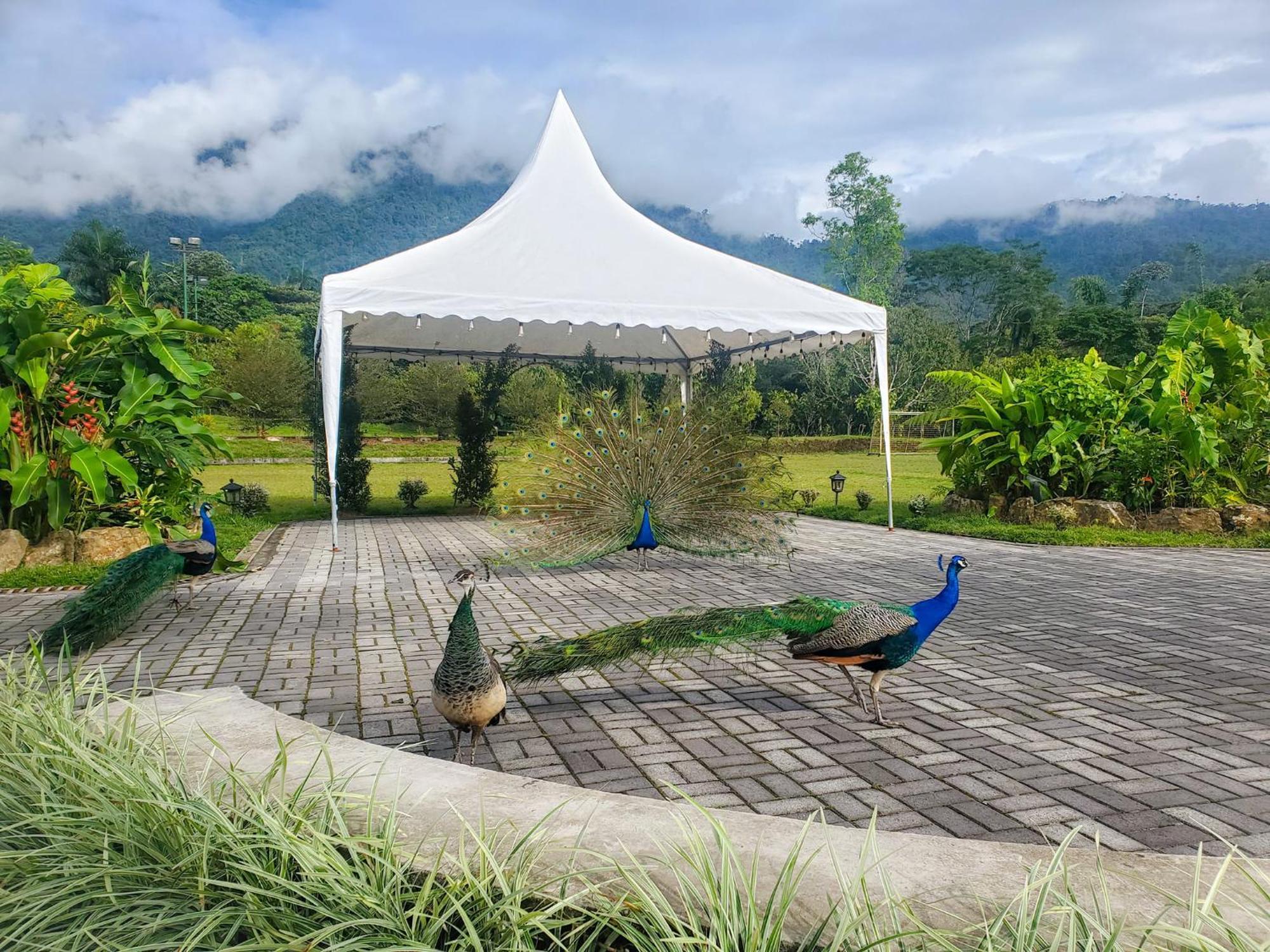 La Quinta De Andres Hotel San Isidro  Ngoại thất bức ảnh