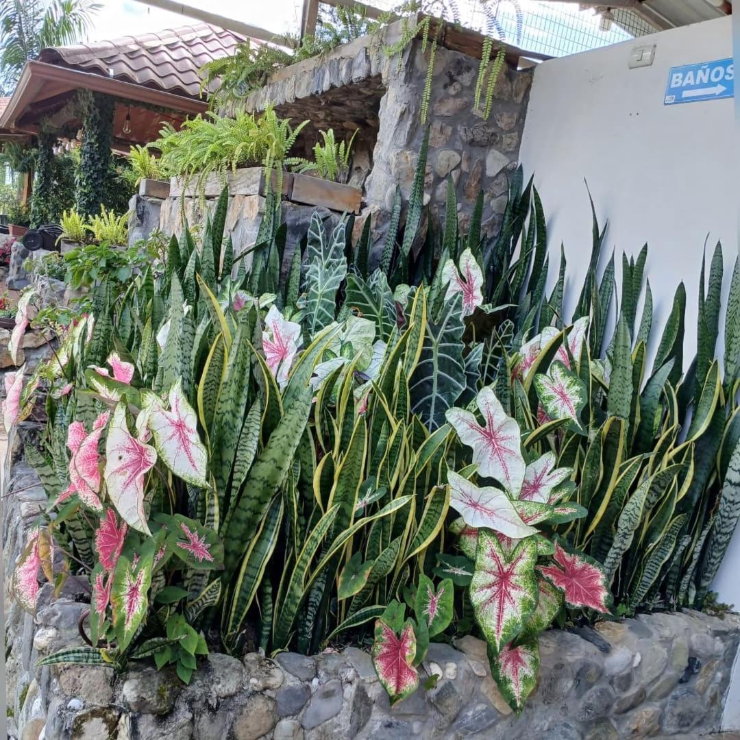 La Quinta De Andres Hotel San Isidro  Ngoại thất bức ảnh